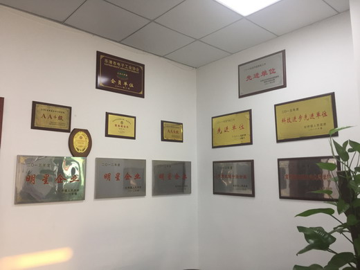 公司明星企業(yè)